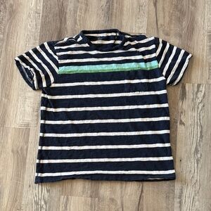 Striped Navy and Green Men Shirt